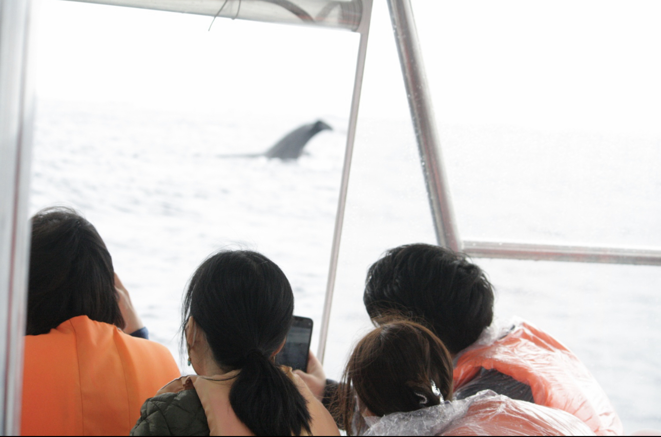 雨クジラ🐳✨