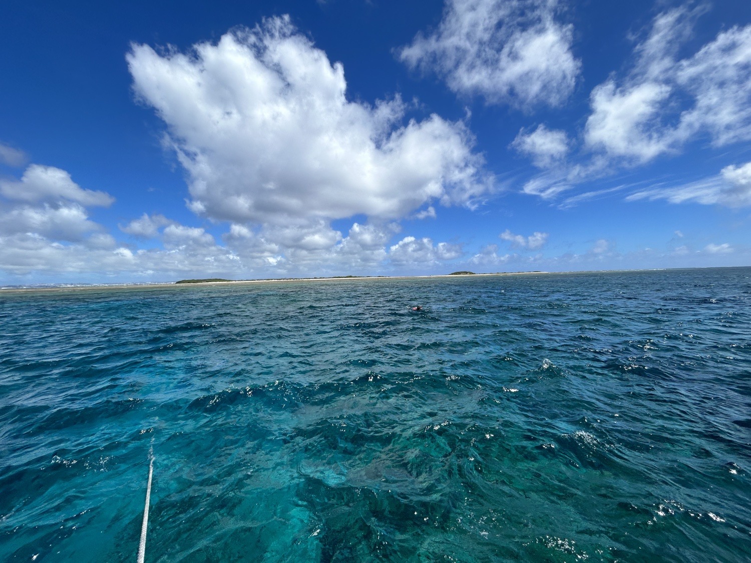 沖縄の海は最高🐠